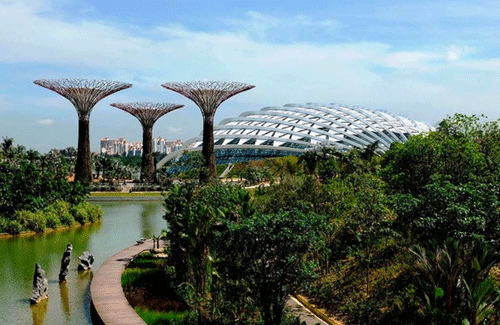 Ngắm khu vườn độc nhất Singapore